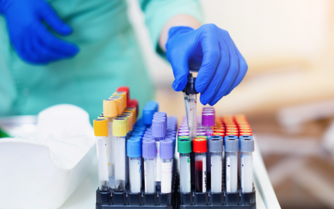 TÉCNICO EN LABORATORIO CLÍNICO Y BANCO DE SANGRE