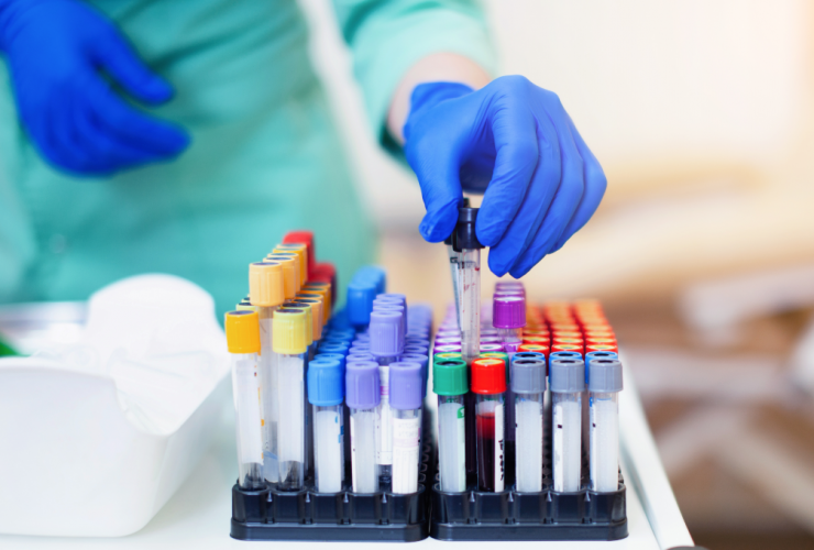 TÉCNICO EN LABORATORIO CLÍNICO Y BANCO DE SANGRE