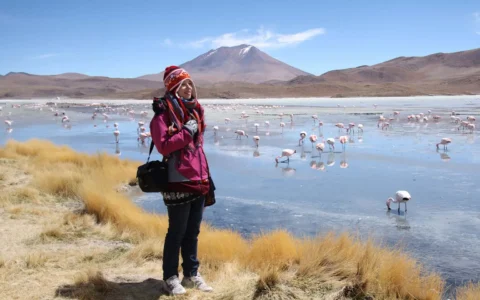 Técnica en turismo observando flamencos en salar altiplánico con paisaje montañoso de fondo.