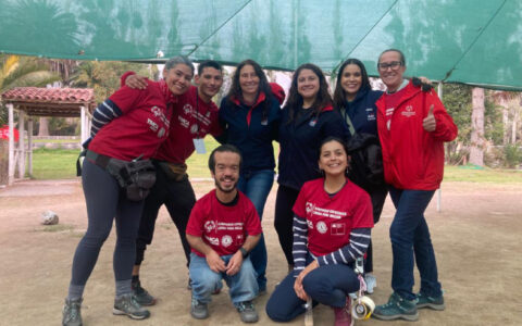 representantes aiep cumbre liderazgo