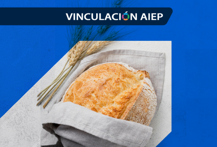Vinculados a otro nivel iniciativa panvida