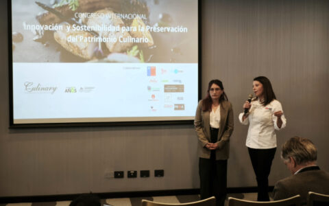 Aiep Culinario