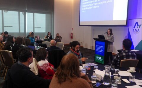 Actividad CNA pares evaluadores Cristina Mardones
