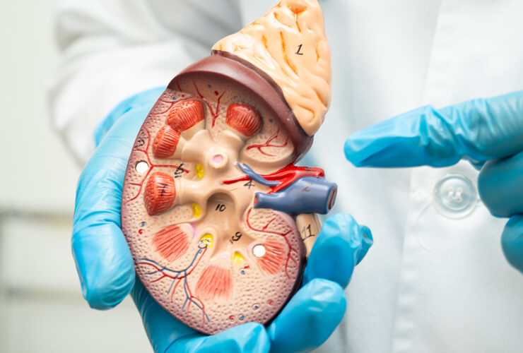 Diplomado en Cuidado Renal para TENS
