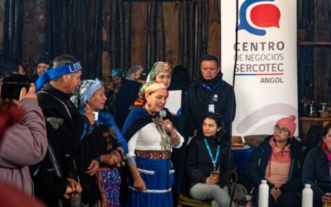 Día internacional de la mujer indígena Centro de Negocios Sercotec Angol AIEP