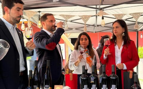VINOS PATRIMONIALES
