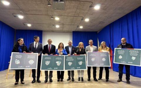 Perfiles laborales ciberseguridad