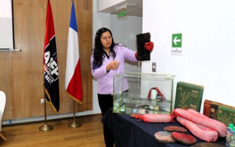 AIEP reciclaje cabello