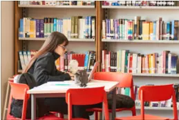 Estudiante estudia con su computador portátil en una biblioteca rodeada de estanterías llenas de libros.