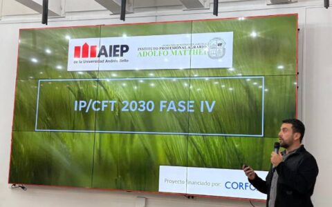 AIEP en IP/CFT 2030
